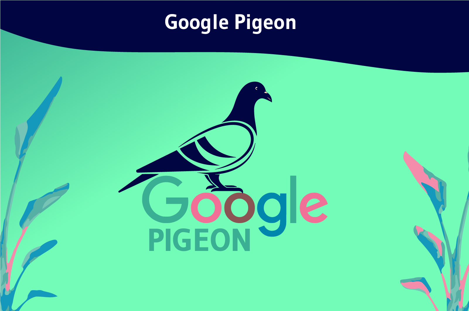 Google Pigeon Update